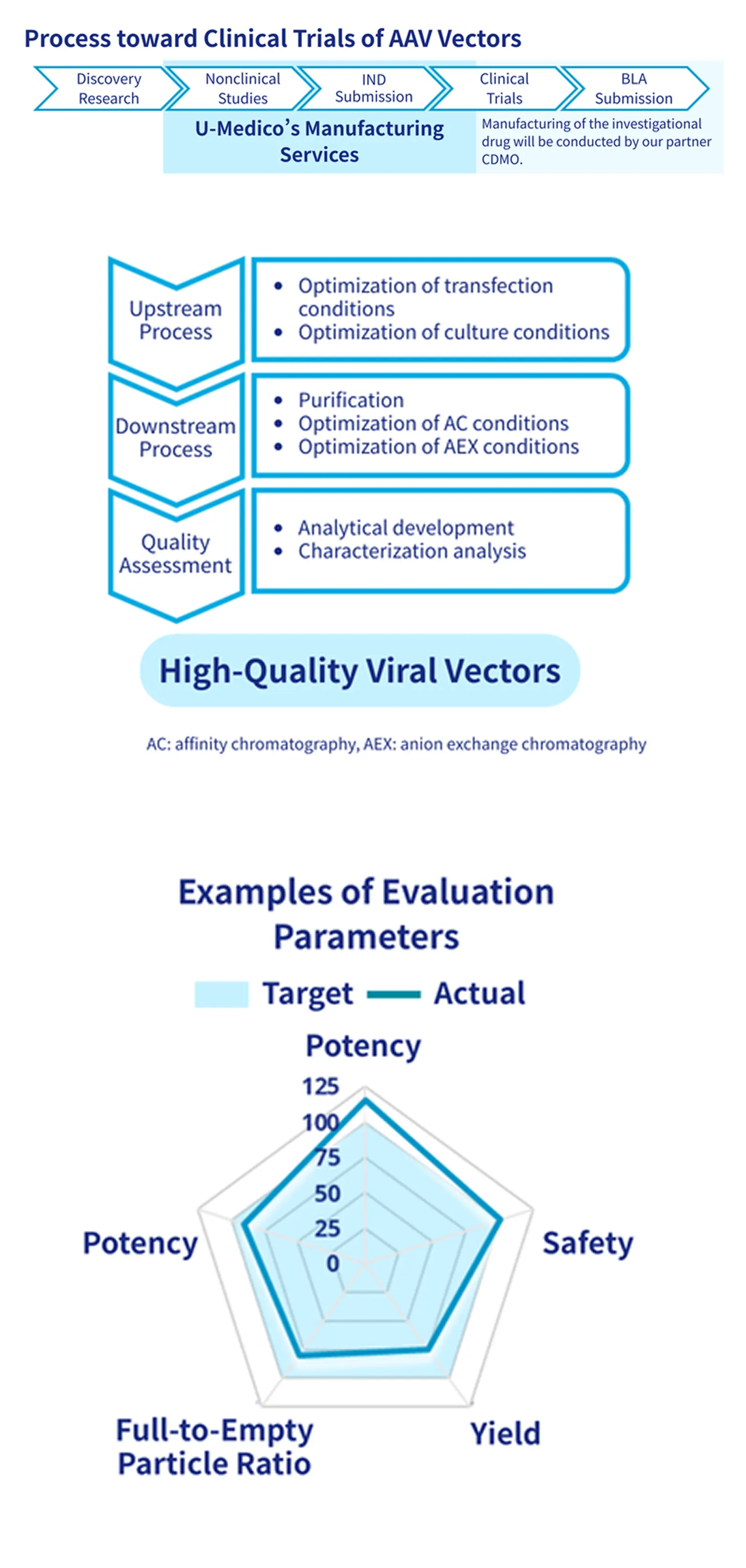 プロセス開発SP
